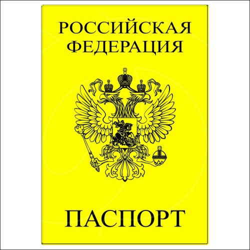 Топпер декоративный Паспорт Золото 8,7х12,5 см ТСК128